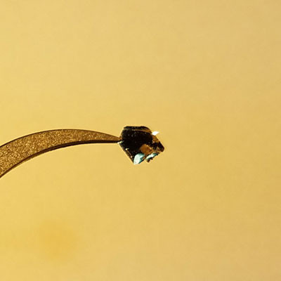 CrSiTe3 crystal ( Cr2Si2Te6 )