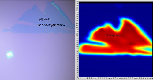Exfoliated MoS2 Monolayer