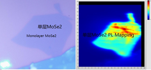 Exfoliated MoSe2 Monolayer