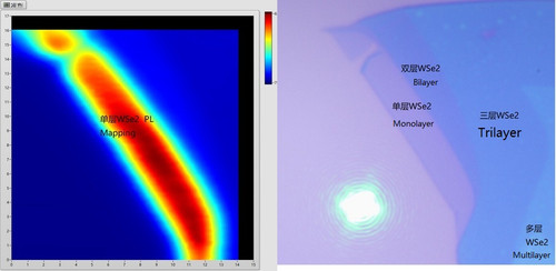 Exfoliated WSe2 Monolayer