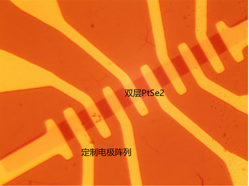 Custom devices (such as PtSe2 devices)