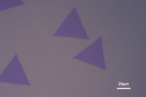 CVD-Grown MoS2 film (10mm*10mm)