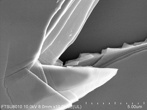 Bi2Te3-crystal-SEM-1.jpg