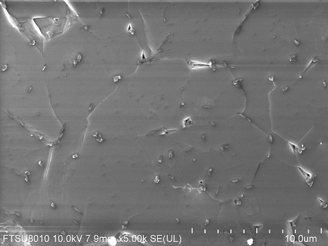 GaSe-crystal-SEM-1.jpg
