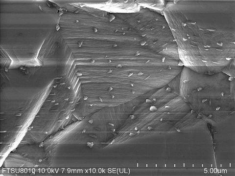 GaSe-crystal-SEM.jpg