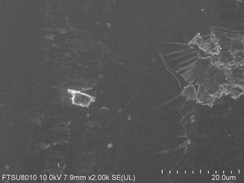 InSe-crystal-SEM-2.jpg
