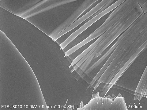InSe-crystal-SEM-3.jpg