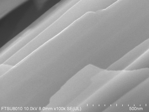 SnS2-crystal-SEM-1.jpg