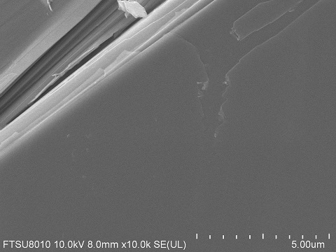 SnS2-crystal-SEM.jpg