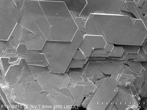 TaSe2-crystal-SEM.jpg