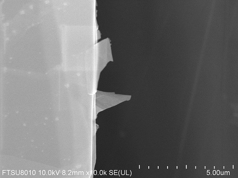 WSe2-crystal-SEM-1.jpg