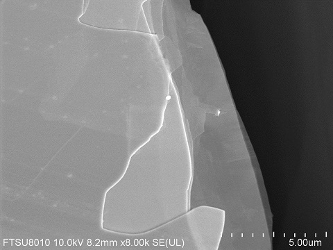 WSe2-crystal-SEM.jpg