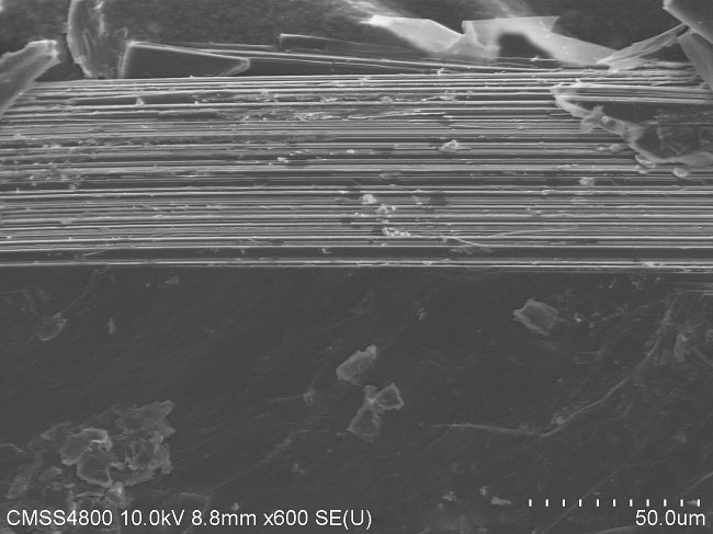 bp-sem2.jpg bp-sem2.jpg