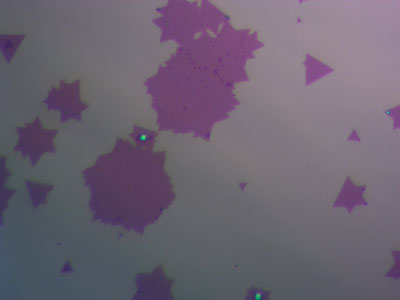 isolated-mose2-flakes.jpg isolated-mose2-flakes.jpg