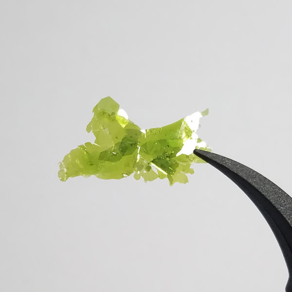 mnps3-1.jpg mnps3-1.jpg