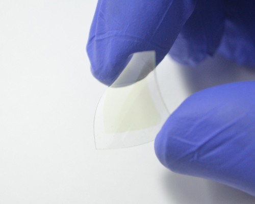 mos2-pet-1.jpg mos2-pet-1.jpg