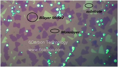 mose2-t3.jpg mose2-t3.jpg