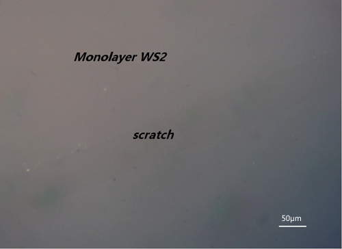 ws2-continous.jpg ws2-continous.jpg