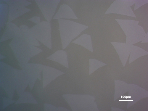 ws2-flakes.jpg ws2-flakes.jpg