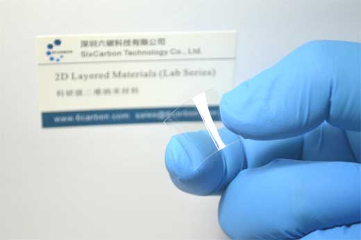 ws2-pet-2.jpg ws2-pet-2.jpg