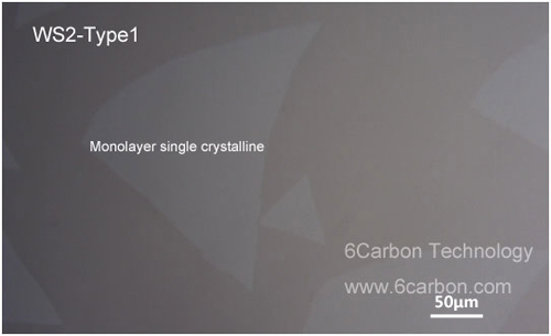 ws2-type1.jpg ws2-type1.jpg