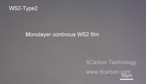 ws2-type2.jpg ws2-type2.jpg