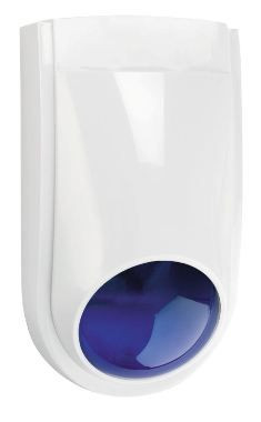 WP06