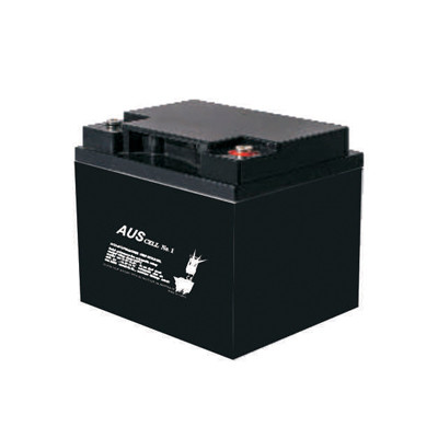 12 VDC 40 Amp Battery. Dimensions (169H x 198 W x 166D )