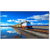 DAHUA DHI-LDH86-SAI400L 86 INCH 4K LCD DIGITAL SIGNAGE WALL MOUNT ANDROID 11 HDMI 2.1 VESA 800X600 BLACK