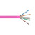 CAT6-305-PINK