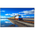 DAHUA DHI-LDH65-SAI400L 65 INCH 4K LCD DIGITAL SIGNAGE WALL MOUNT ANDROID 11 HDMI 2.1 VESA 400X400 BLACK