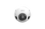 Dahua 2MP Mobile Dome IP Camera