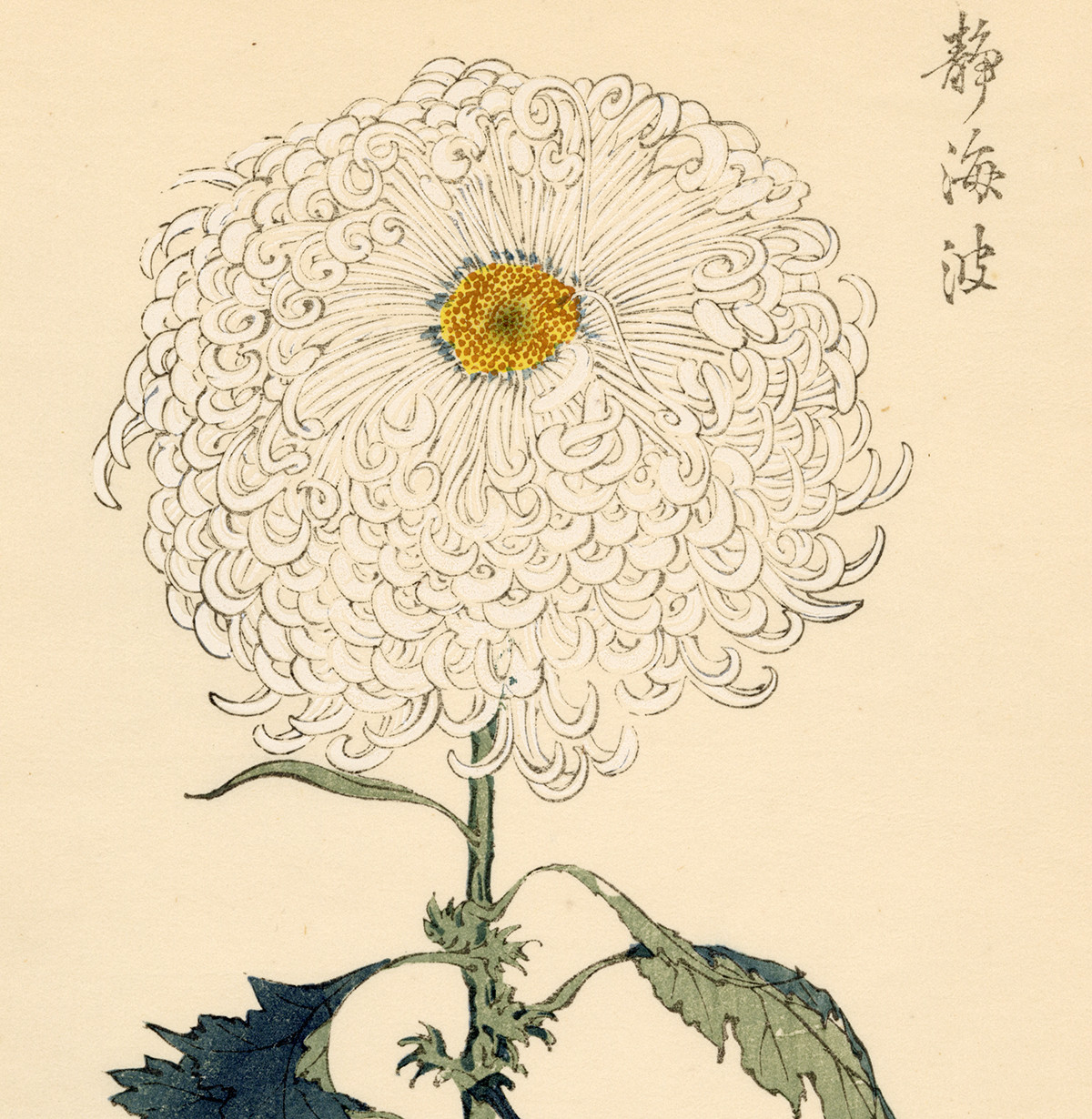 Original Hand-Colored Hasegawa Wood Block Print (10) (SOLD)