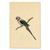 "Parakeet Pair" Original Watercolor Paintings, Circa Mid 20th Century