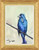 "Blue Robin Bird" Original Oil Painting by Joseph Mota (SOLD) "Blue Robin Bird" Original Oil Painting by Joseph Mota (SOLD)
