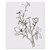 "Black and White Flowers" Original Set of Three Watercolor Paintings by Yuki Osada (SOLD)