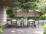 Alzette Alu Dining Arm Chair - Ambiance Image~~