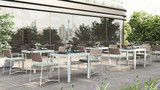 Jordan Dining Armchair - Ambiance Image~~