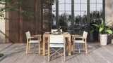 Rivera Director Chair - Ambiance Image~~