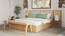 Clay Queen Bed Base - Ambiance Image~~