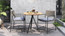 Jordan Dining Armchair - Ambiance Image~~