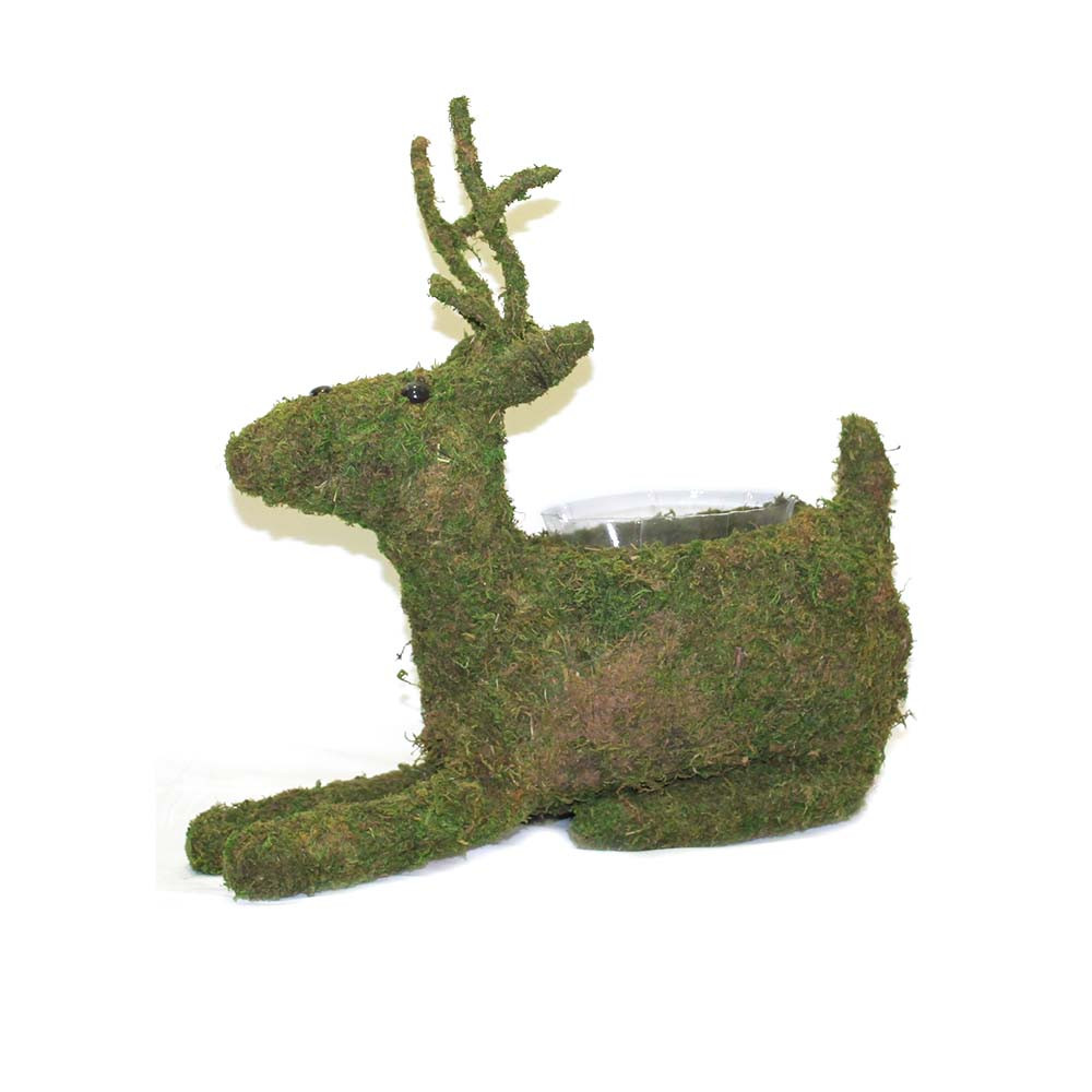 Moss Reindeer Planter Lo Florist Supplies
