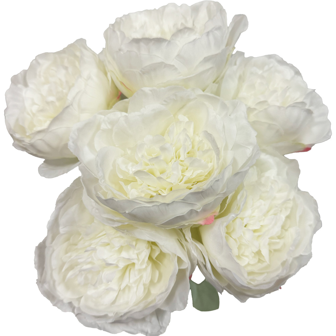 Silk 18” Long Stem 7 Peonies Bouquet - White Pink Edge - LO