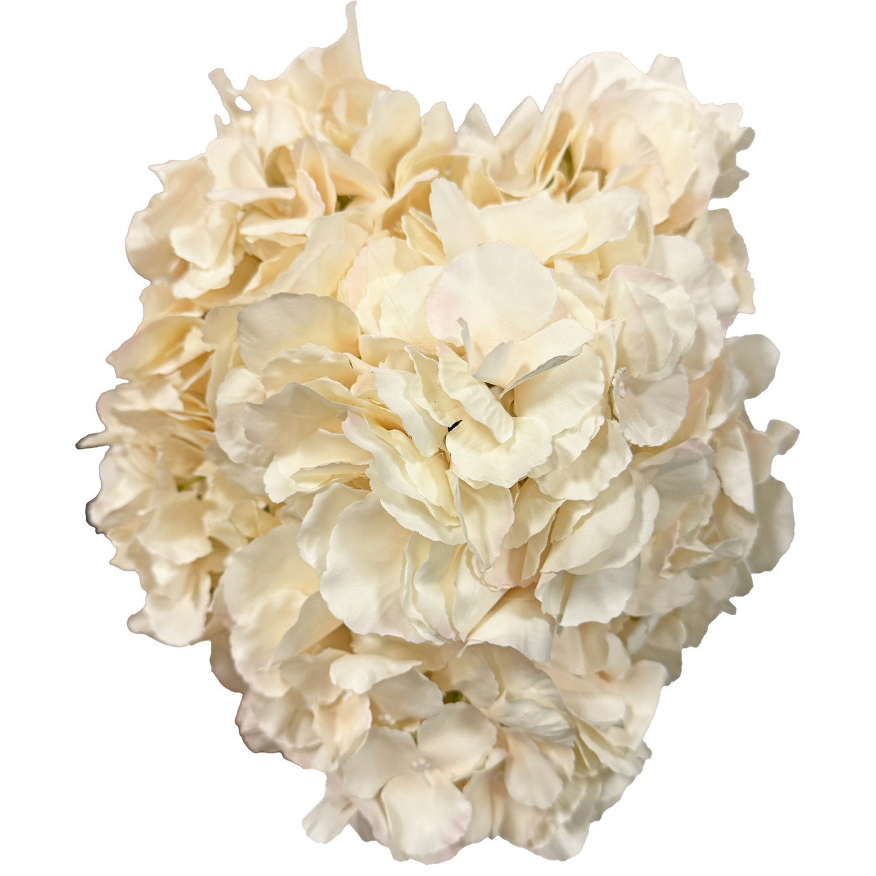 Hydrangea4937　0602 Blue Hydrangea - TF129-1 ($69.26)