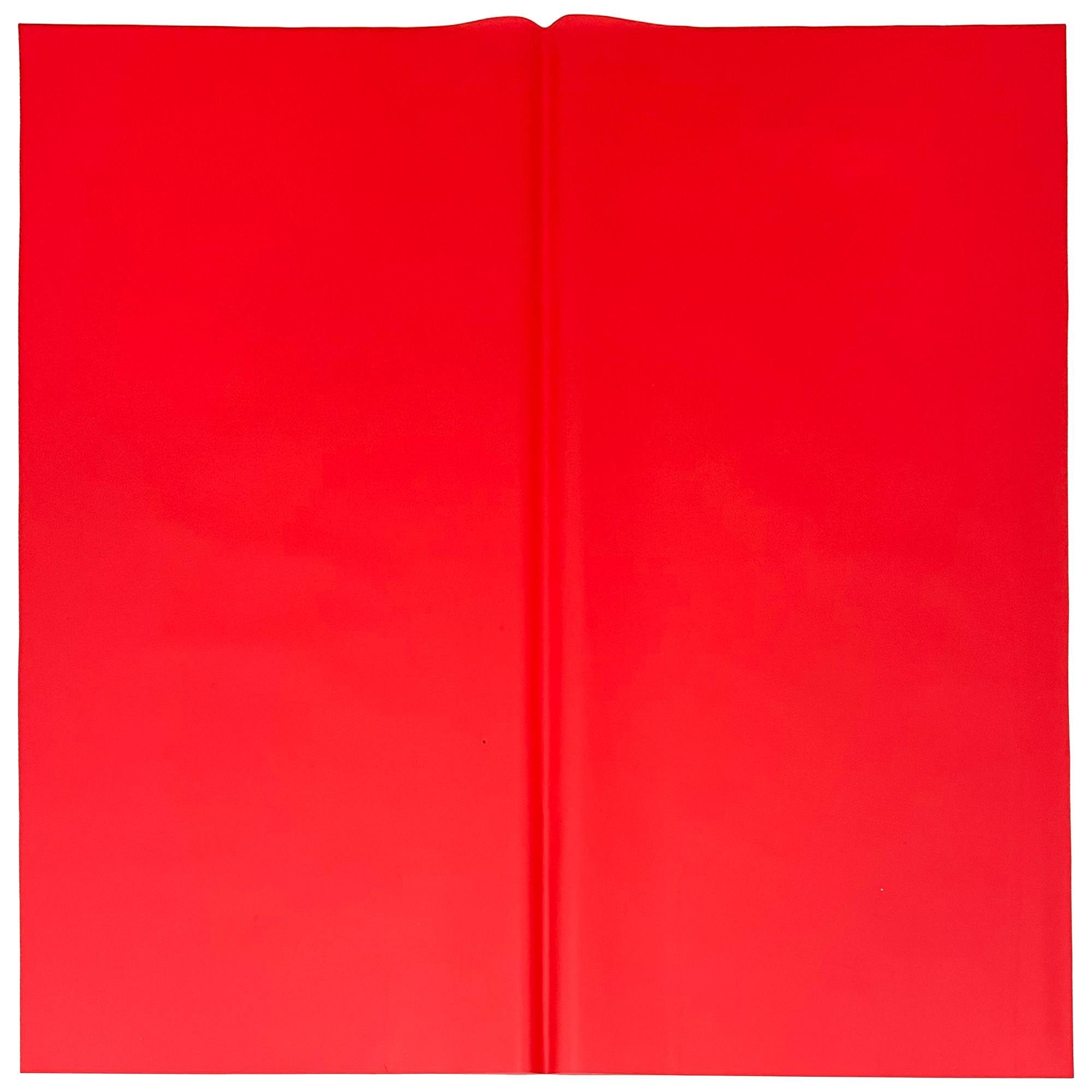 Red Floral Wrapping Paper - 20 Sheets - LO Florist Supplies