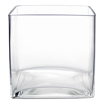 8" Clear Glass Cube Vase