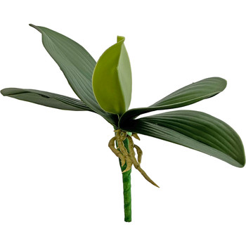 9" Silk Phalaenopsis Orchid Base Leaves with Air Roots