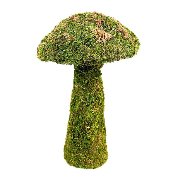 Medium Moss Mushroom