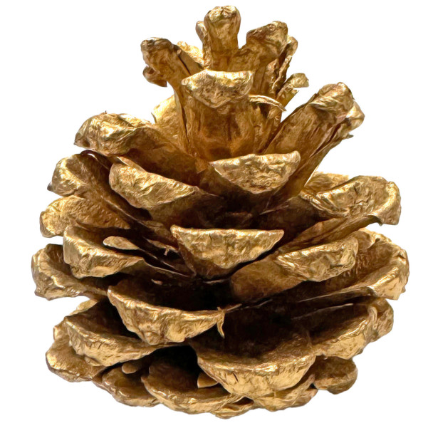 Premium Preserved Pinecones - 95-100 PC - Gold