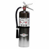 Chrome 6A 80BC 10lb Dry Chemical Fire Extinguisher (B456XC)